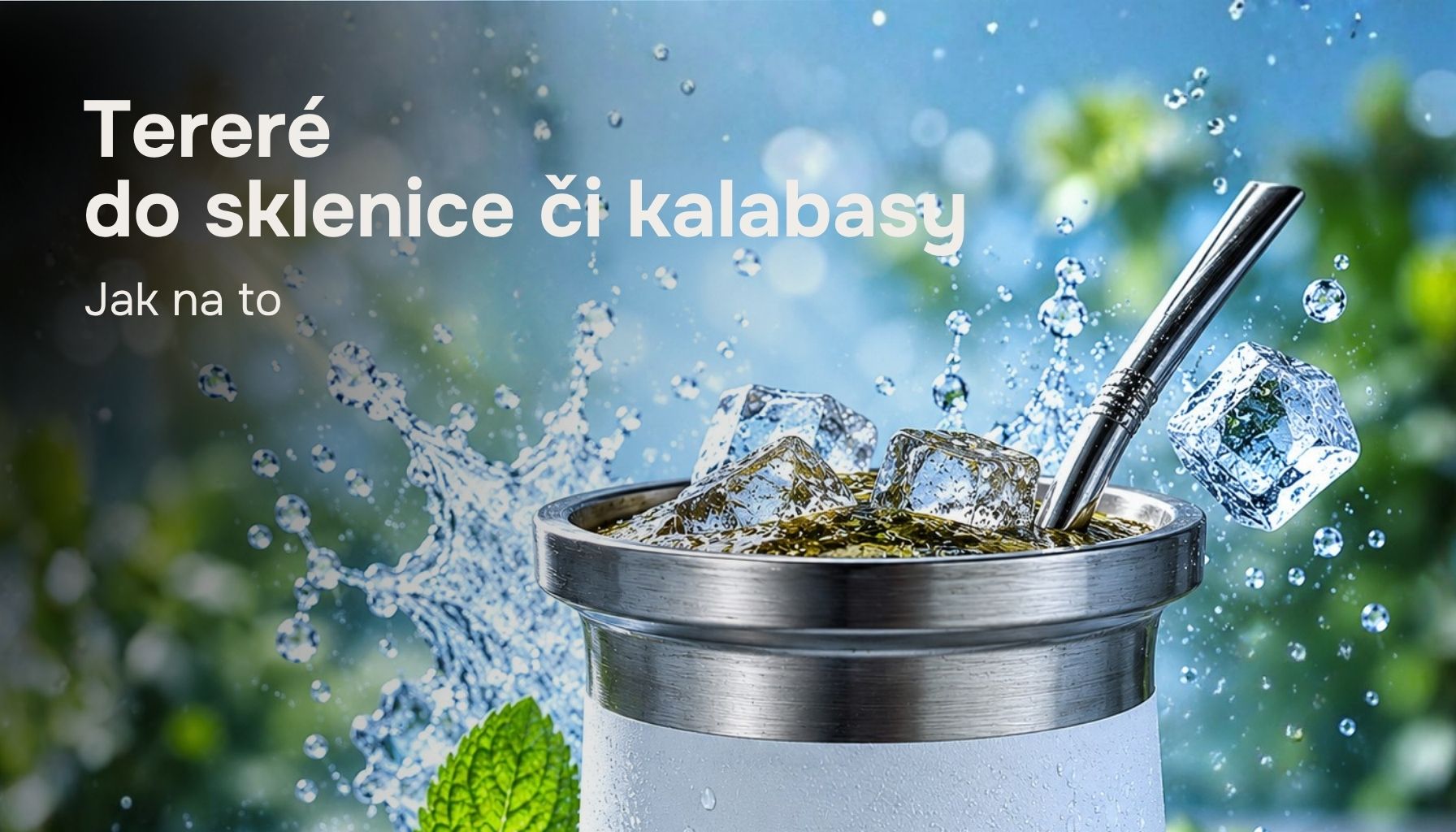 terere-sklenice-kalabasa-clanek